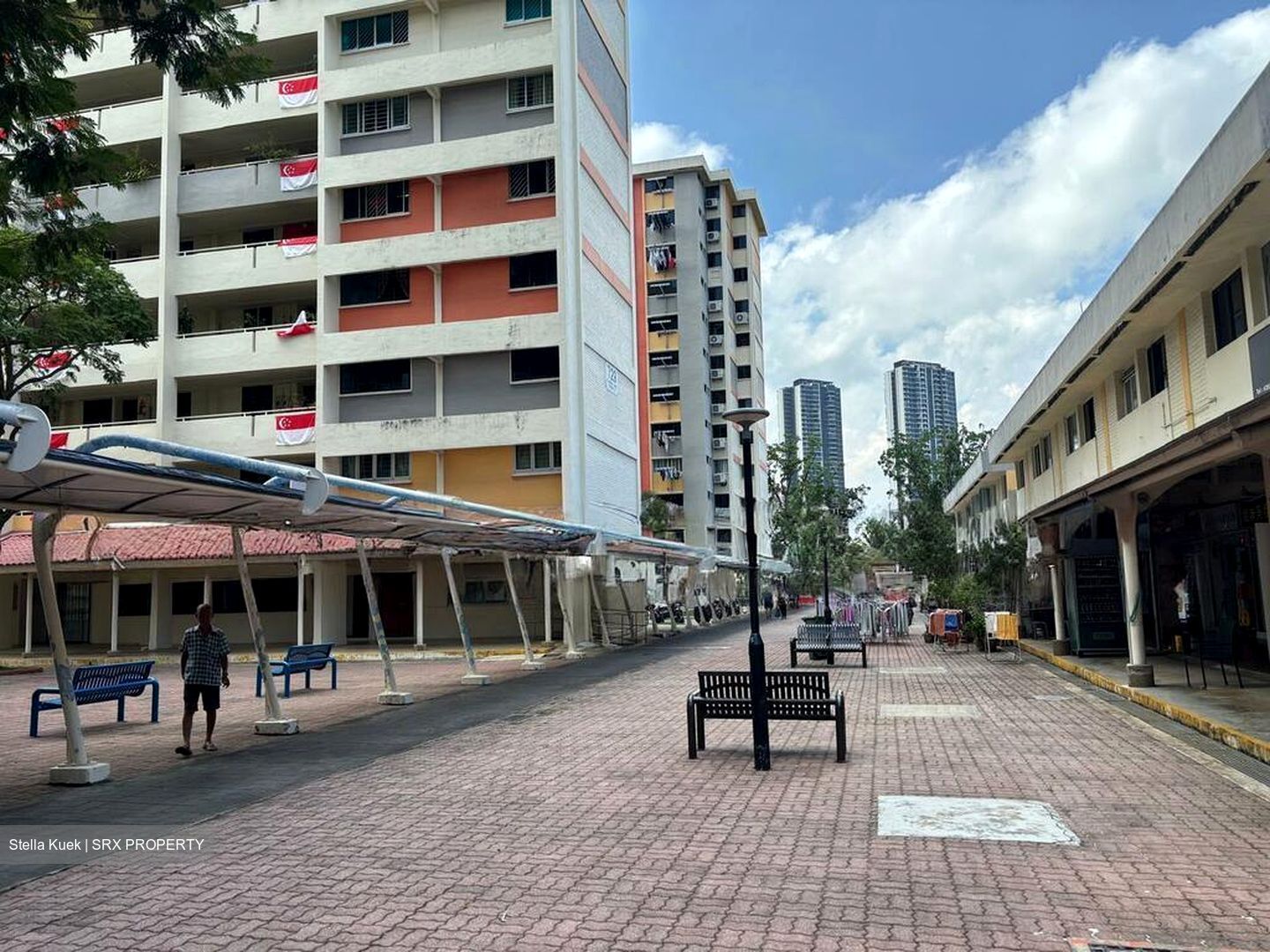 Clementi West Street 2 (D5), Shop House #497470971